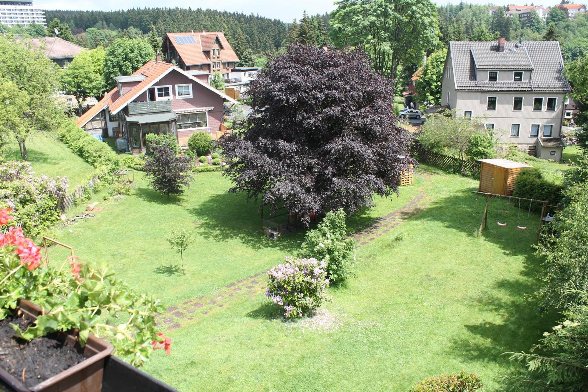 Ulrichshof Hotell Braunlage Exteriör bild