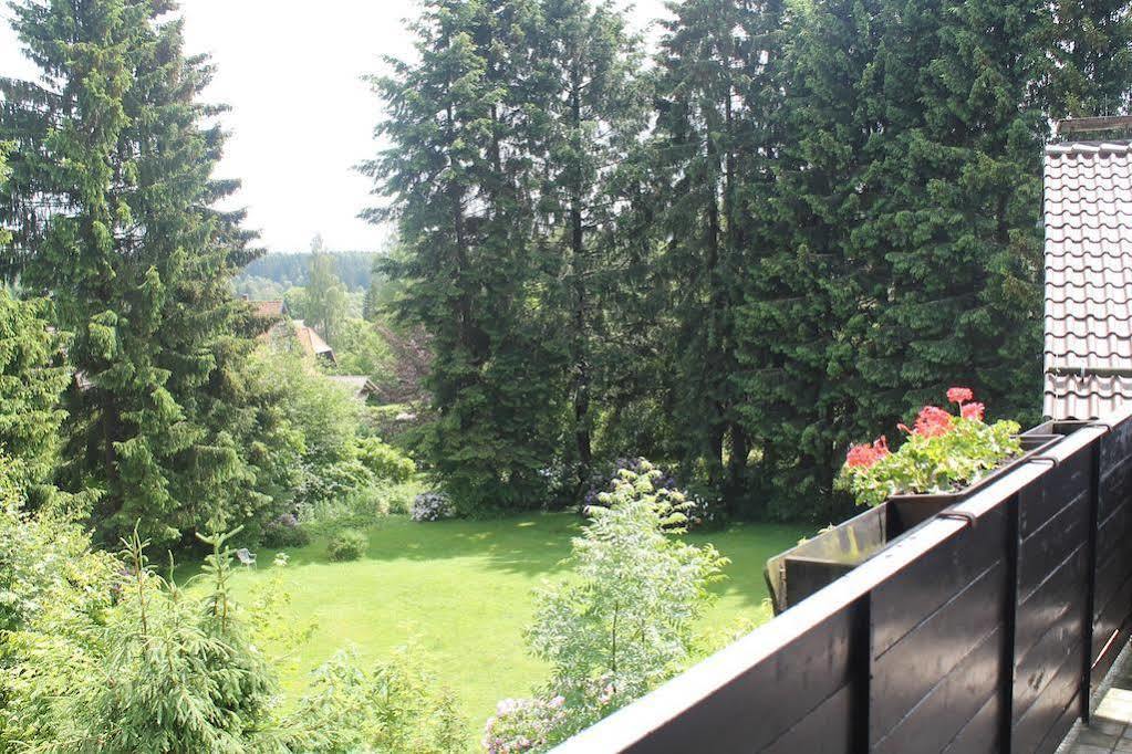 Ulrichshof Hotell Braunlage Exteriör bild